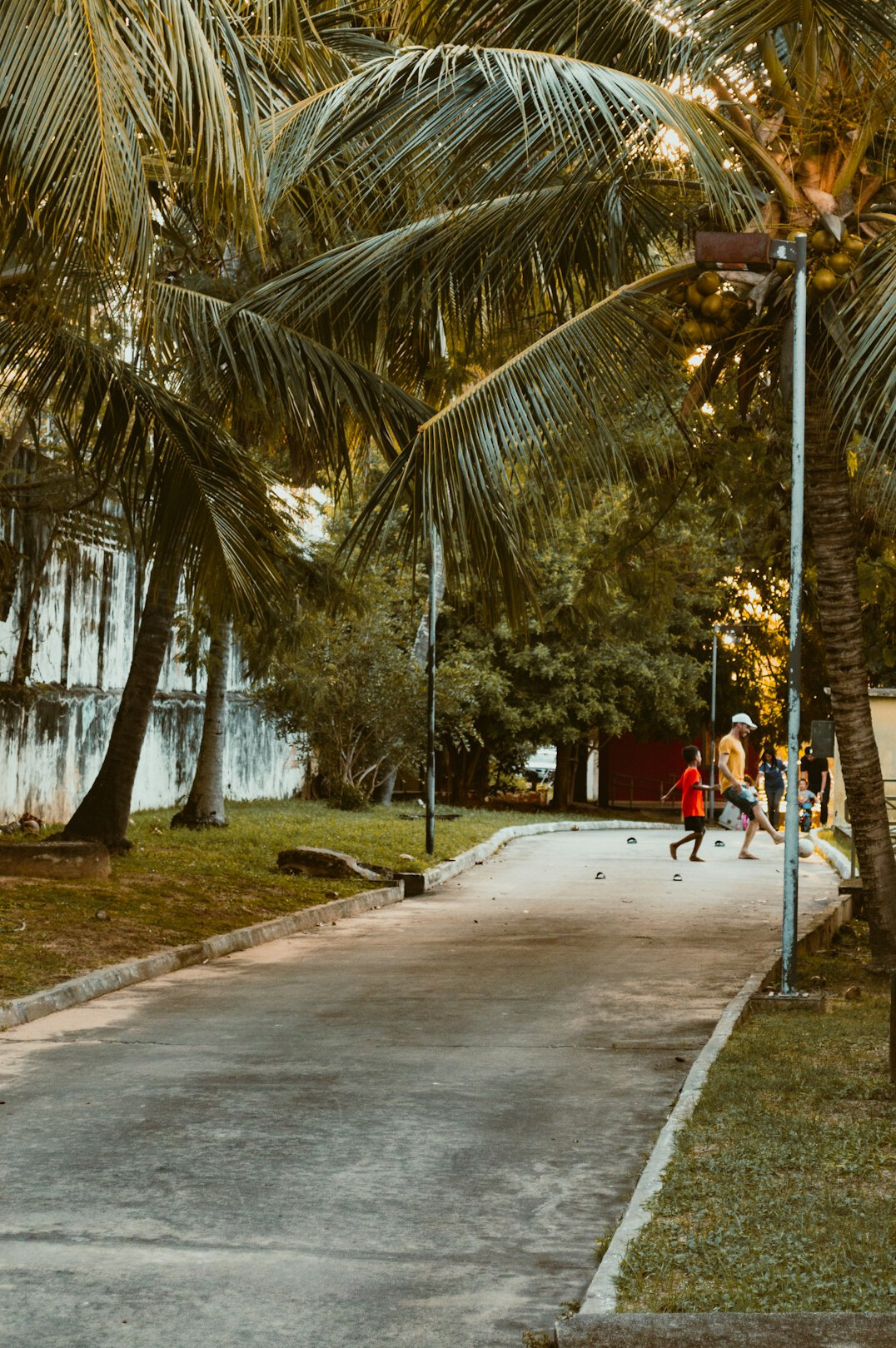 People jogging together in a green park