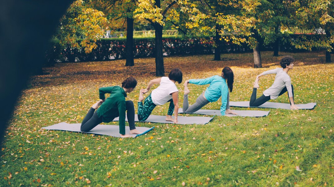 group stretching in park